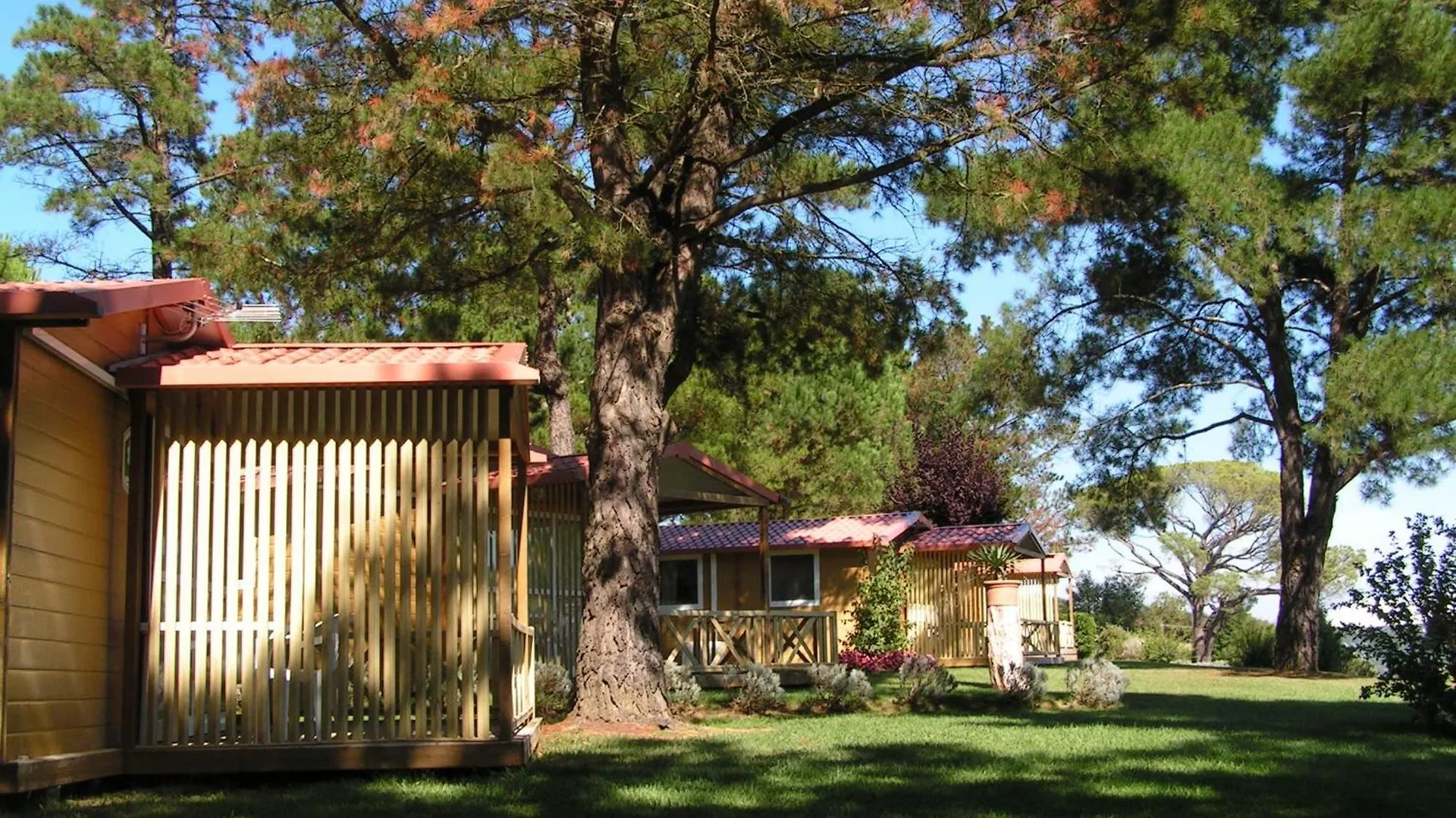 Parco vacanze I Girasoli Lucignano