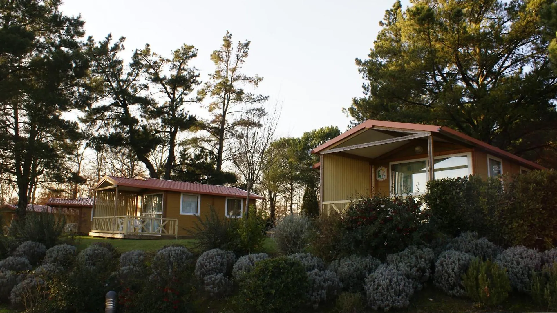 I Girasoli Lucignano Parco vacanze
